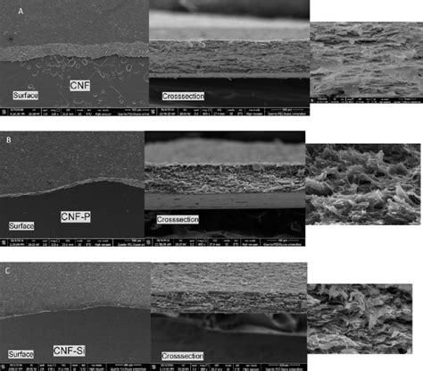 Scanning electron microscopy (SEM) surface and cross-section images of ...