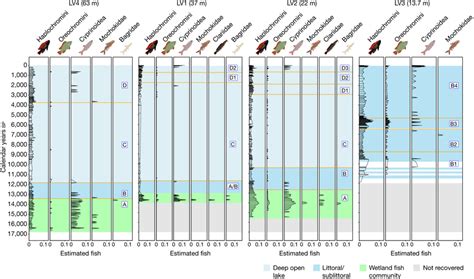 The Lake Victoria fish assemblage since the birth of the modern lake... | Download Scientific ...