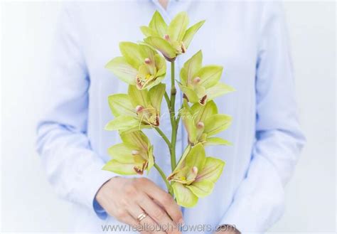 Real Touch Orchids | Artificial Orchids | Fake Orchids | Faux Orchids