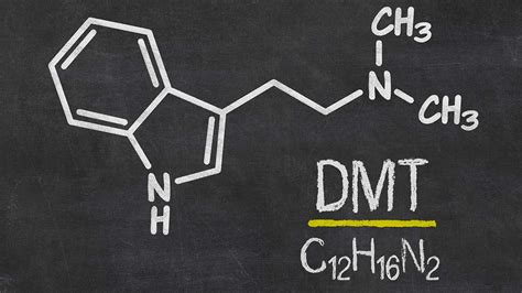 What Is DMT & The Dangers Of Snorting It (Insufflation)?