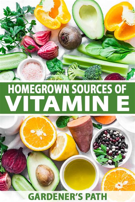 Homegrown Sources of Vitamin E | Gardener’s Path