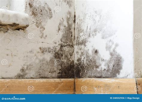 Damp Buildings Damaged By Black Mold And Fungus Dampness Or Water