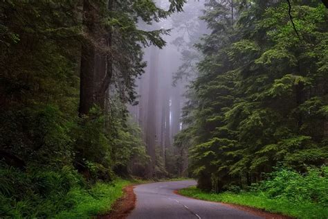 Luasnya 53 82 Km² Ada 7 Kecamatan Tersempit di Bangkalan yang Justru