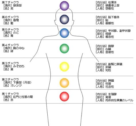 あなたの能力を最大限に引き出すチャクラを開く7つの方法 セレンディピティ