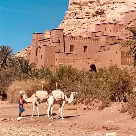 Marrakech Excursion D Une Journ E La Kasbah D Ait Ben Haddou Et