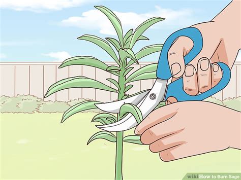 How To Burn Sage Steps With Pictures Wikihow