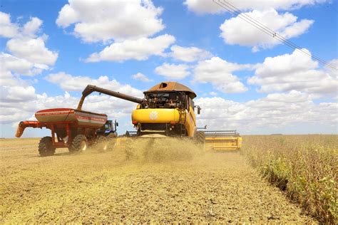 Colheita da soja evolui de 17 para 30 na última semana no Paraná