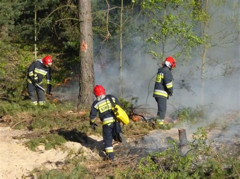 Pożar poszycia leśnego przy torach w Skarżysku Gasili prawie dwie