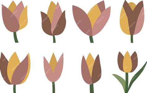 Premium Vector Abstract Flowers Vector Clipart Spring Illustration