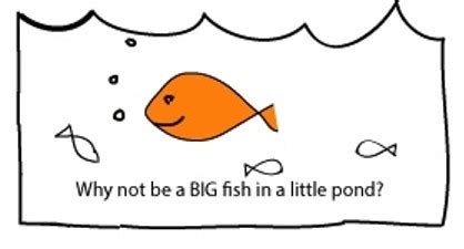 Being a Big Fish in a Small Pond