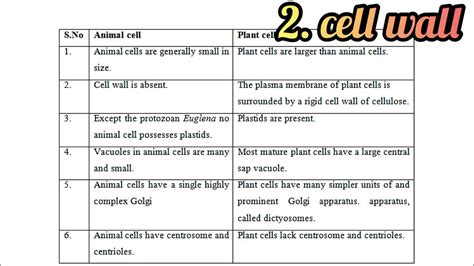 Difference Between Plant Cell And Animal Cell Class 9 Chapter 5 The