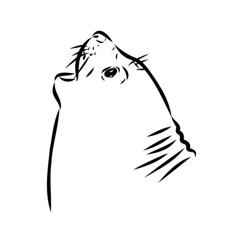 Seal Vector Sketch 36439000 Vector Art At Vecteezy