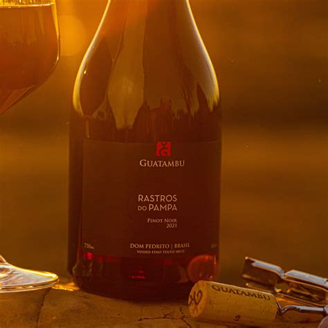 Guatambu Rastros Do Pampa Pinot Noir Estante D O Vinho