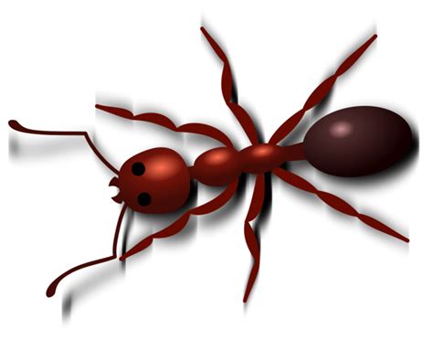 Ant clipart 7 clipartandscrap - Clipartix