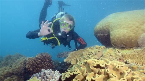 Great Barrier Reef Cairns Queensland Attraction Au