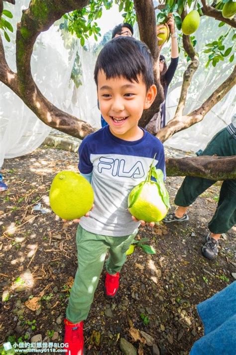 宜蘭旅遊 九月限定冬山採柚趣 採柚 仁山植物園 梅花湖 合菜 3樣伴手禮，只要799元完全超值 Saydigi