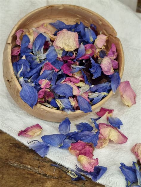 Confettis de Fleurs Séchées Bleu Rosé LILAS PAMPA