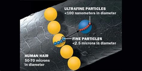 Tiny air pollution particles may lead to reduced sperm production