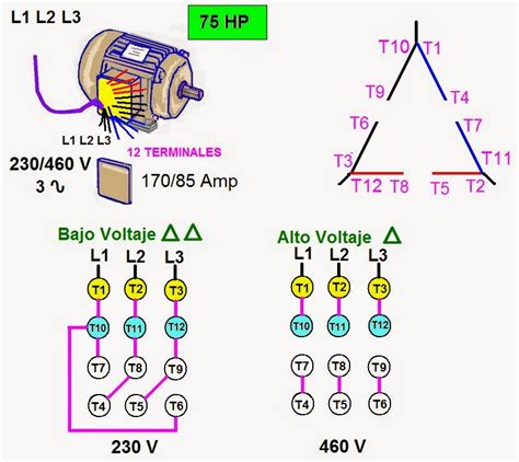 Conexiones De Motores Trif Sicos
