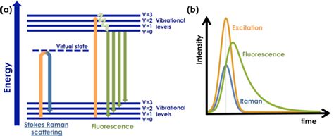 A Energy Level Diagram For Raman Scattering And Fluorescence