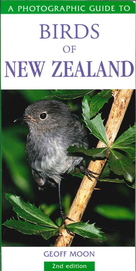 Photographic Guide To Birds Of New Zealand Veldshop Nl