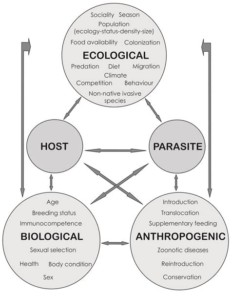 The Network Of Host Parasite Assotiations With Factors Influencing Download Scientific Diagram