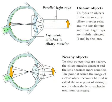 Pin On Cbse Class 10 Physics