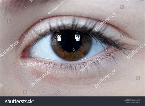 Brunette Hazel Eyes Images Stock Photos Vectors Shutterstock