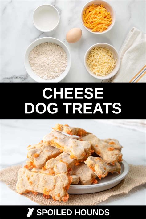 Best Cheese Dog Treats Recipe - Spoiled Hounds