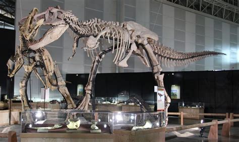 Shantungosaurus vs Zuchengtyrannus | Fósiles de dinosaurios, Animales prehistóricos, Prehistórico