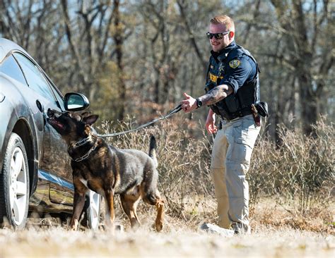 Are Police Dogs Trained To Recognize Police