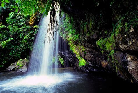 El Yunque Waterfall Photograph by Thomas R Fletcher - Pixels