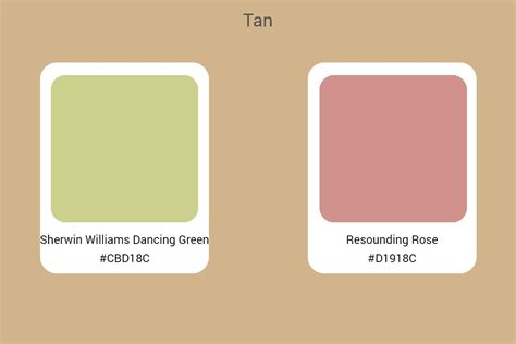 All You Need to Know about Tan Color: An Ultimate Guide