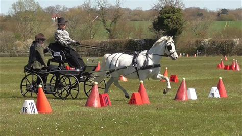 Single Pony Carriage Driving Cones Course Youtube