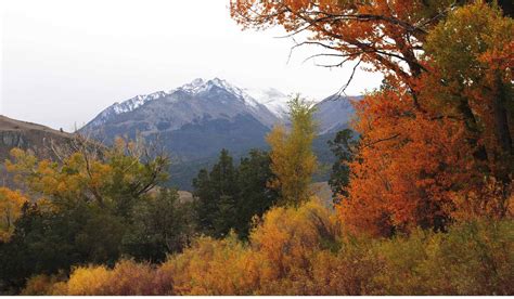 Yellowstone Park Riverfront Cabins