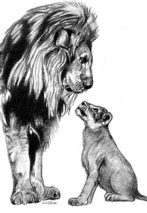 Baby Lion Drawing at PaintingValley.com | Explore collection of Baby ...