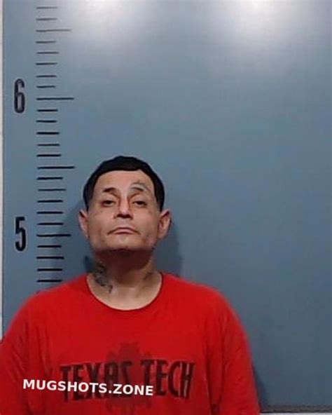 Herrera Danny Jr 06 27 2023 Taylor County Mugshots Zone