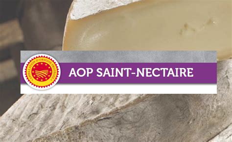 Fromage Saint Nectaire Ferme Du Clos Le ST Nectaire Fermier AOP