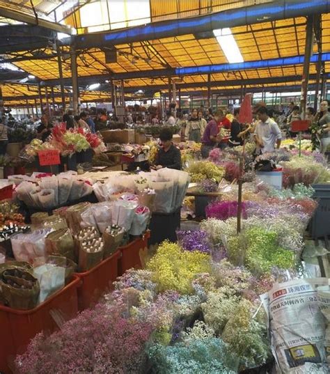 Guide On Guangzhou Flower Markets Four Flower Markets To Visit In Guangzhou Business In