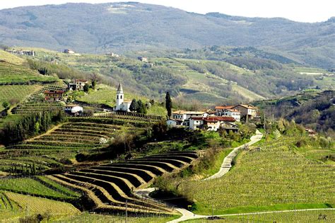 Beautiful rolling wine country photo courtesy of Zumi Goriška Brda