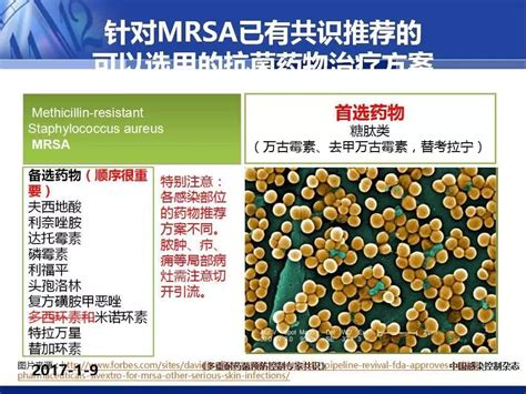 抗菌药物合理应用与管理抗感染、免疫调节专题讲座湖南药事服务网