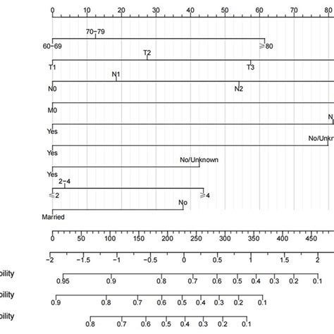 Nomogram For 1 3 And 5 Year Css Of Elderly Patients With Hpscc