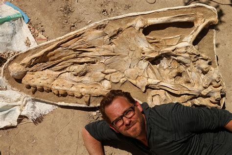 Mega Predator Fossils Discovered Of Giant Sea Monster That Ruled The