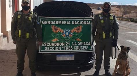 Gendarmer A El Perro Tati Detect Cinco Kilos De Coca Na