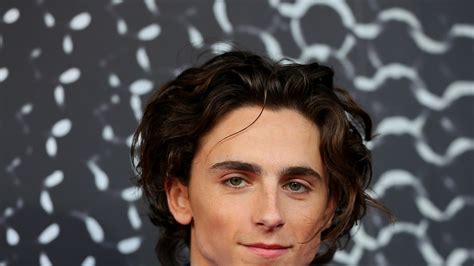 Algo nos dice que a Timothée Chalamet no le va a gustar nada ESTO que