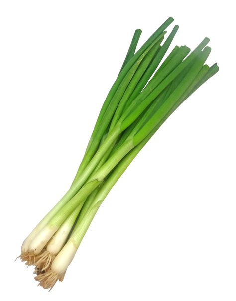 Spring Onion Is My Discovery This Growing Season Even Though Its Not