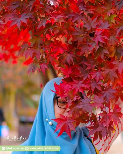 Menikmati Keindahan Musim Gugur Di Nami Island Akuchichie Journey