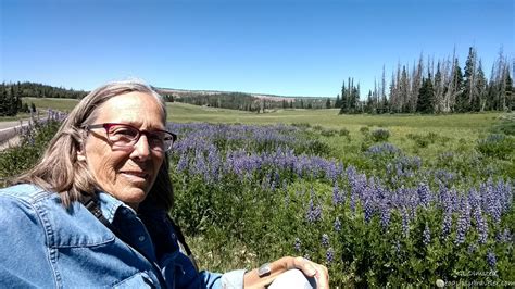 Cedar Breaks National Monument Wildflower Festival Geogypsy