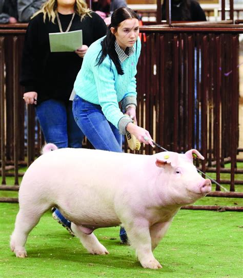 Yukon youth showcase animals at livestock show - Yukon Progress