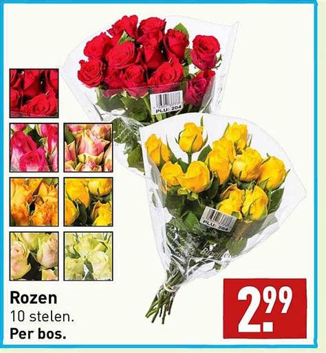 Rozen Aanbieding Bij Aldi Folders Nl